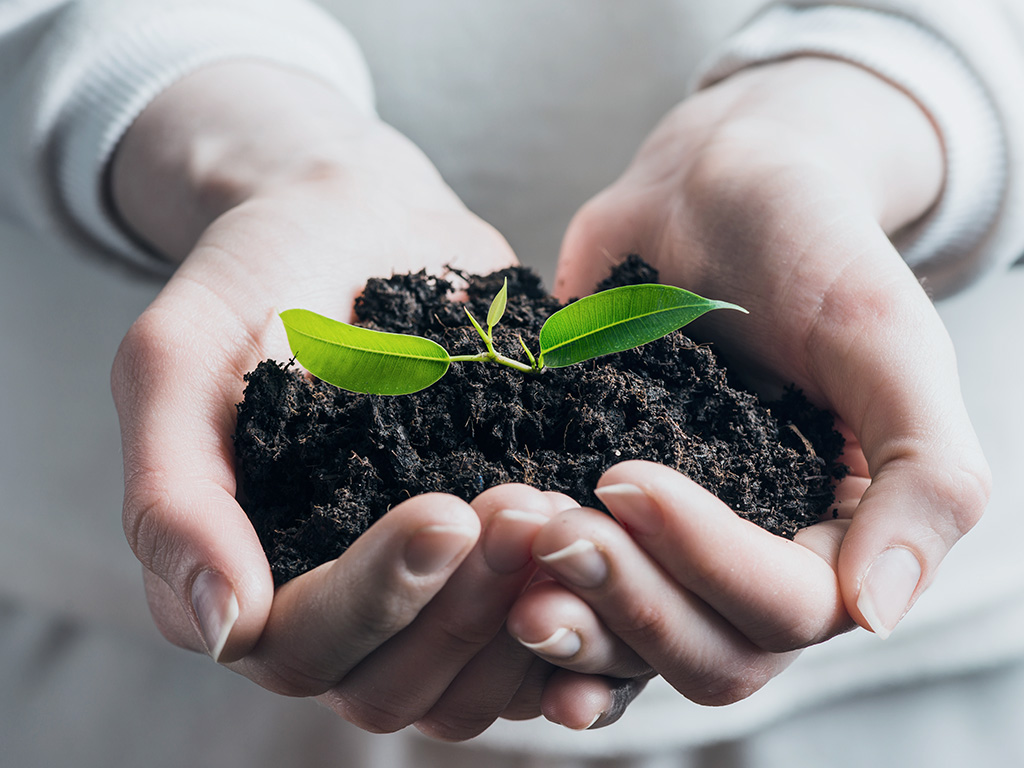 Sustentabilidade: saiba como contribuímos para uma vivência mais sustentável